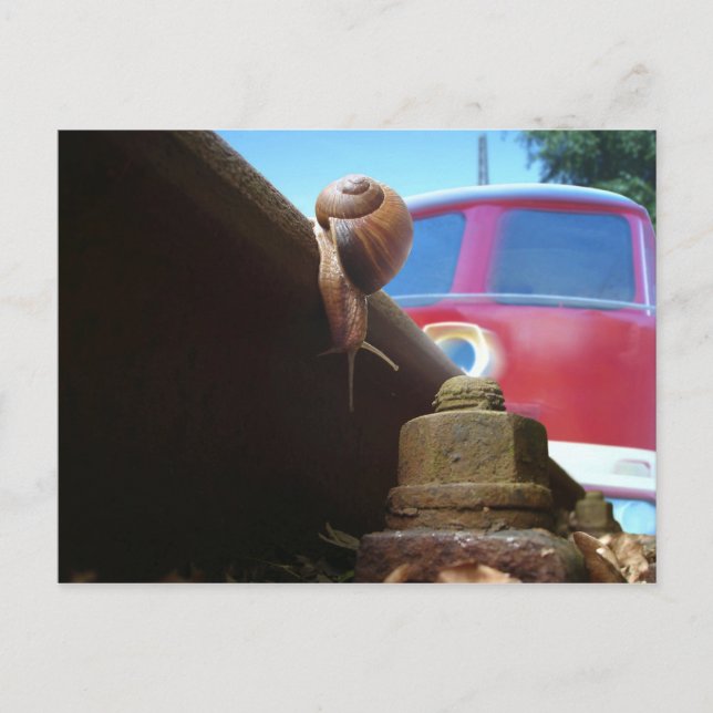 Cartão Postal gereta (Frente)