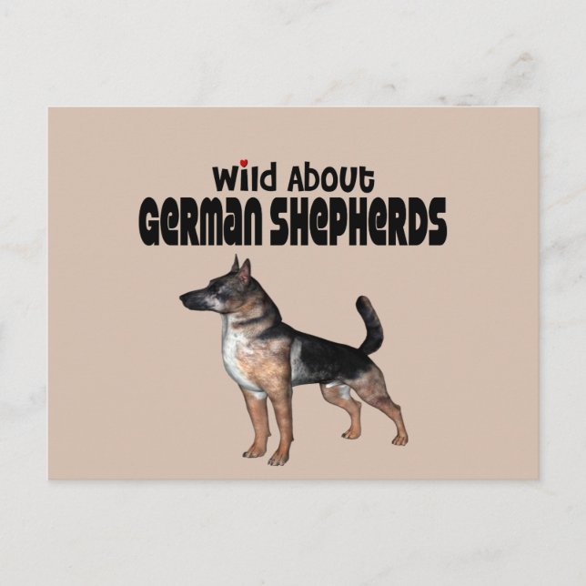 Cartão Postal German shepherd (Frente)
