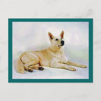 Cartão Postal German shepherd branco