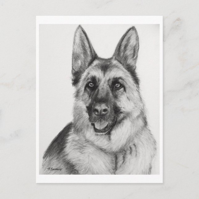 Cartão Postal german shepherd Fine Art (Frente)