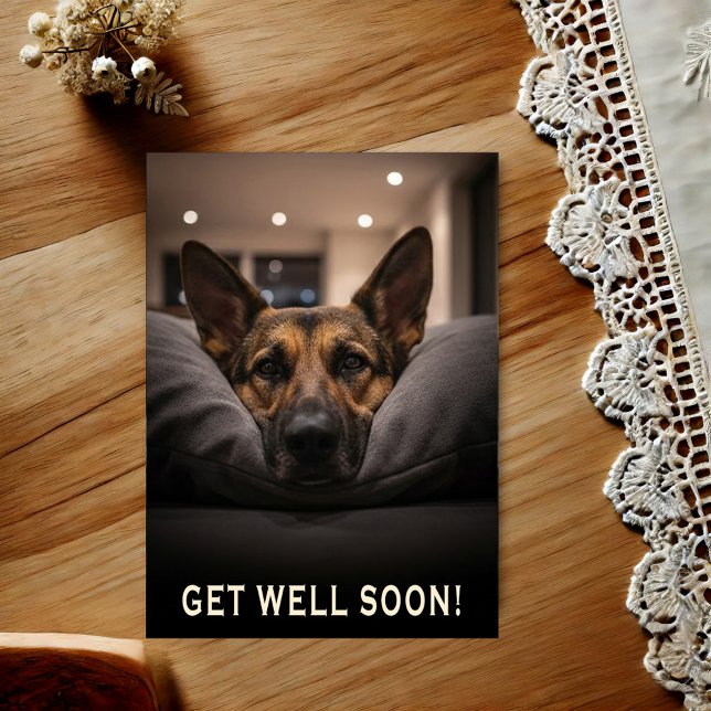 Cartão Postal German Shepherd Get Well Postcard (Criador carregado)