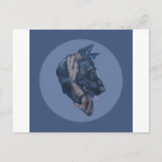 Cartão Postal german shepherd Head Study