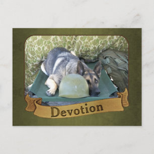 Cartão Postal German shepherd militar