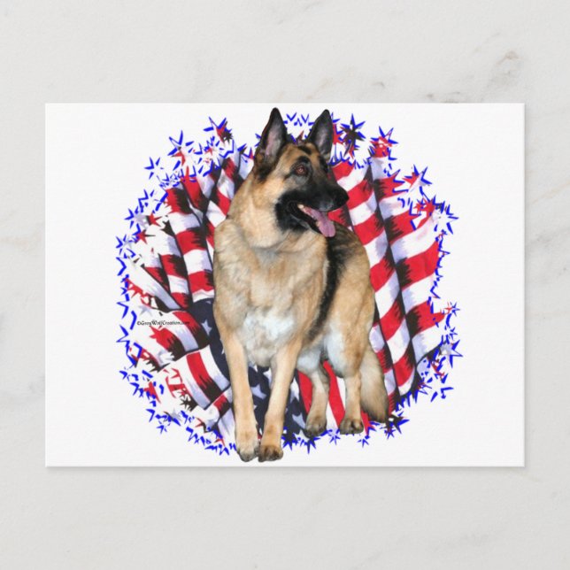 Cartão Postal German shepherd Patriot (Frente)