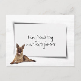Cartão Postal German shepherd Simpatia Pet Perda