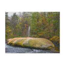 Geyser Island Spouter, Primaveras Saratoga, Nova I