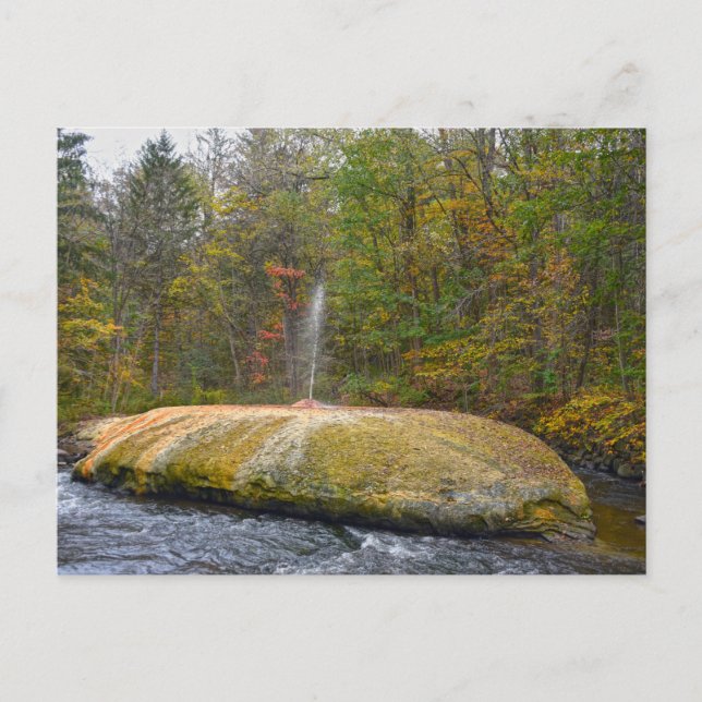 Cartão Postal Geyser Island Spouter, Primaveras Saratoga, Nova I (Frente)