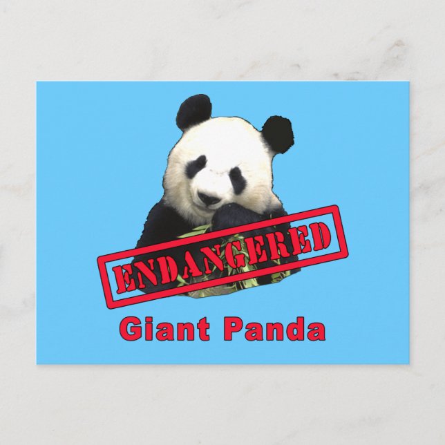 Cartão Postal Giant Panda AMEAÇADO (Frente)
