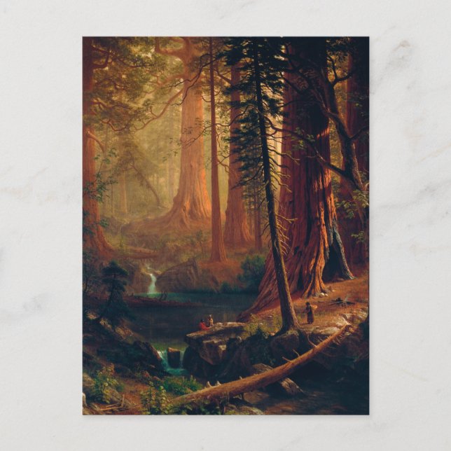 Cartão Postal Giant Redwood Trees of California by A. Bierstadt (Frente)