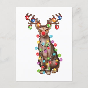 Cartão Postal Gift Ferioso de Natal Engraçado de Gato Sphynx Glu