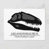 Giganotossaurus Skull