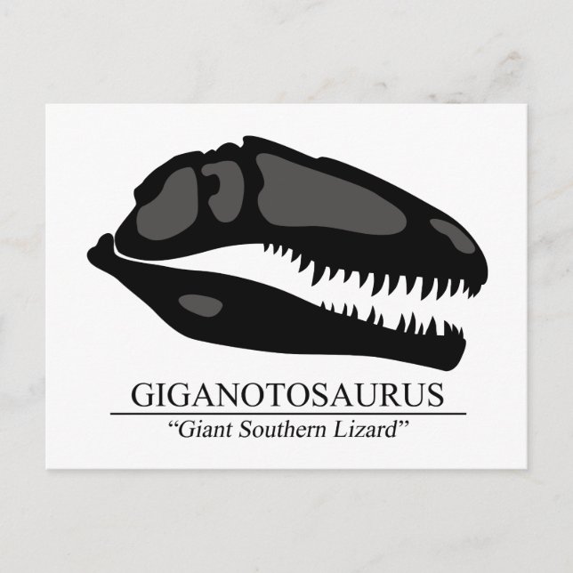 Cartão Postal Giganotossaurus Skull (Frente)