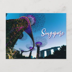Cartão Postal Gigantes Luminescentes — Supertree Grove at Twilig