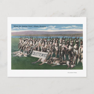 Cartão Postal Gillette, WY - Onde o Antelope Roam