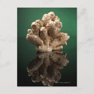 Cartão Postal Ginger