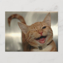Cartão Postal Ginger Cat