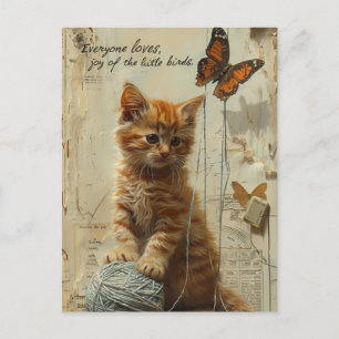 Cartão Postal Ginger Kitten Adorável Com Mídia Mistura De Borbol