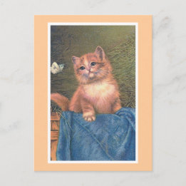 Cartão Postal "Ginger Kitten and Butterfly"