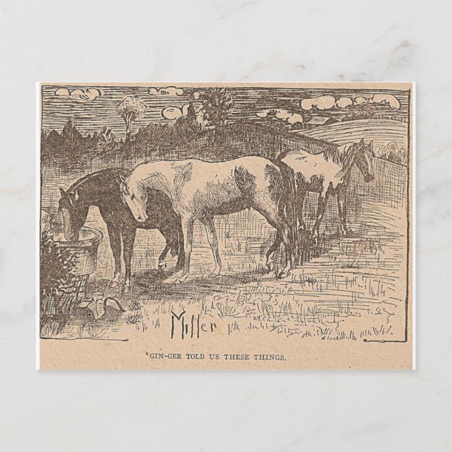 Cartão Postal Ginger Nos Disse Essas Coisas (Frente)