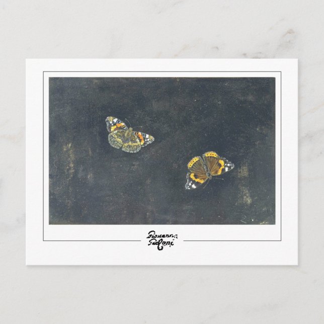 Cartão Postal Giovanna Garzoni #2 - Cartão-postal de arte (Frente)