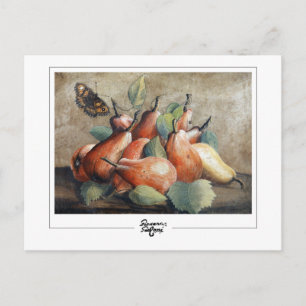 Cartão Postal Giovanna Garzoni #5 - Cartão-postal de arte