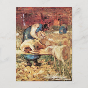 Cartão Postal Giovanni Segantini - Shear