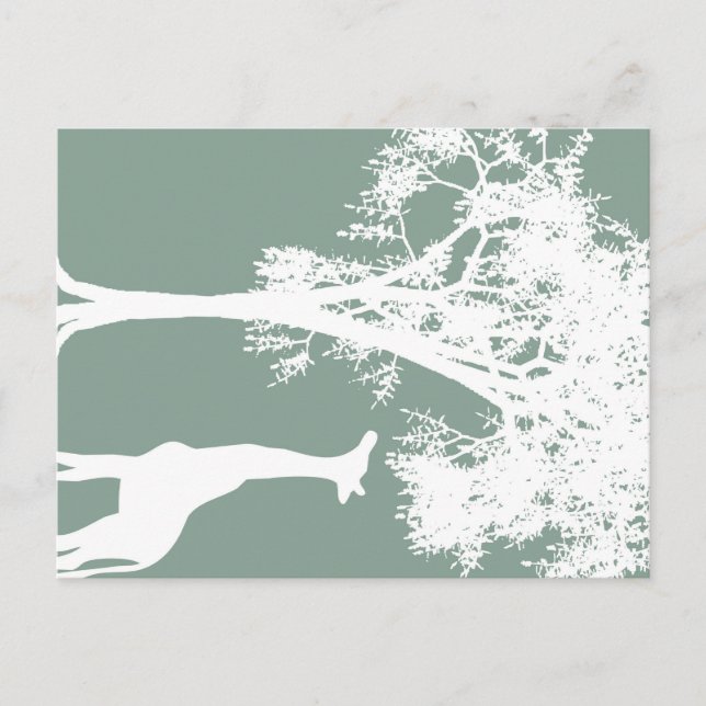 Cartão Postal Girafa (Frente)