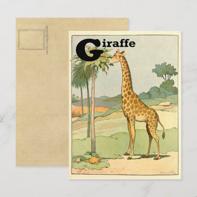 Cartão Postal Girafa Alfabeto Animal (Frente/Verso)