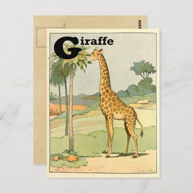 Cartão Postal Girafa Alfabeto Animal (Frente/Verso)