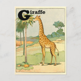 Cartão Postal Girafa Alfabeto Animal