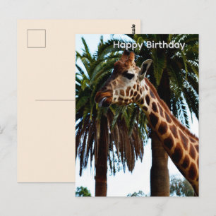 Cartão Postal Girafa Engraçada Dando um Tostão de Aniversário Ca