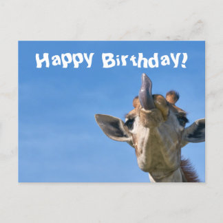 Cartão Postal Girafa Engraçada Feliz Aniversário