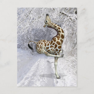 Cartão Postal Girafa Louca Brincando Em Neve