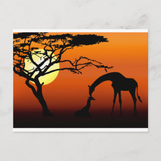 Cartão Postal Girafa Mãe e Bebê em Socorro Africano