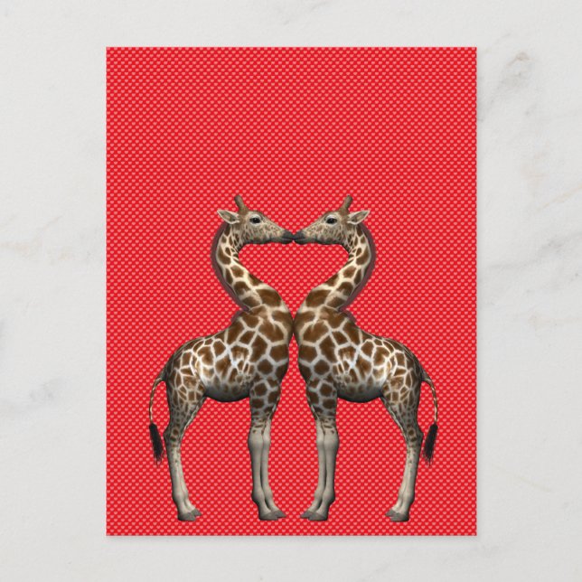 Cartão Postal Girafas Apaixonadas (Frente)