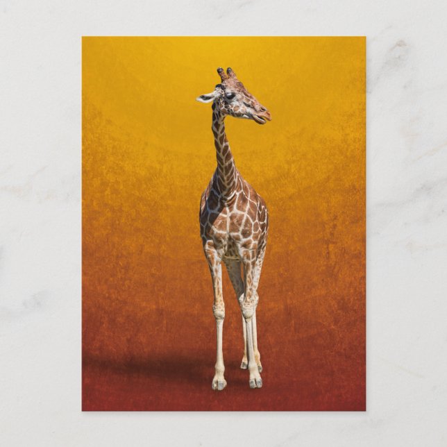 CARTÃO POSTAL GIRAFFE (Frente)