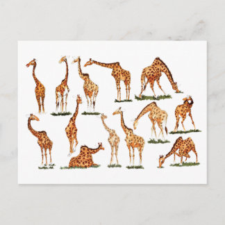 CARTÃO POSTAL "GIRAFFE"
