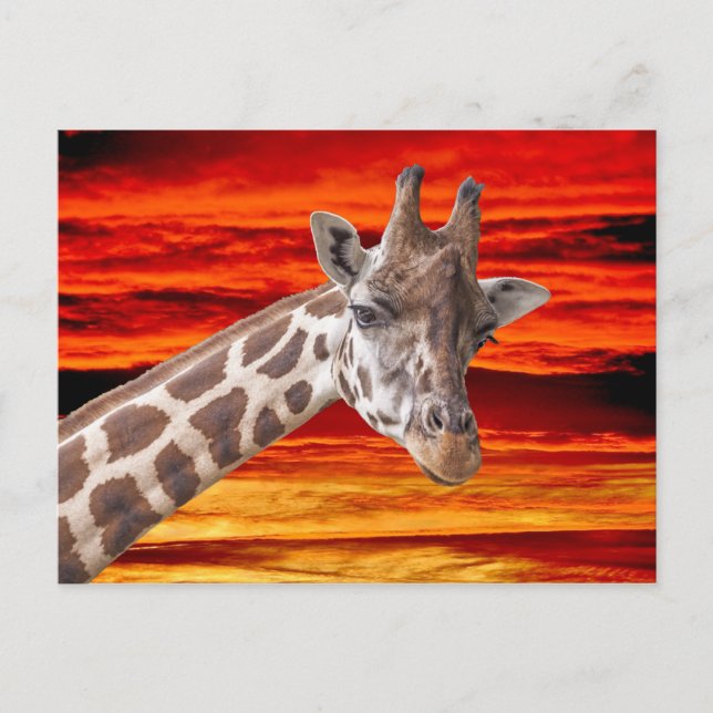 Cartão Postal Giraffe Animal Retrato contra um Céu Soldado (Frente)