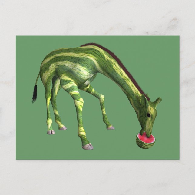 Cartão Postal Giraffe comendo melancia (Frente)