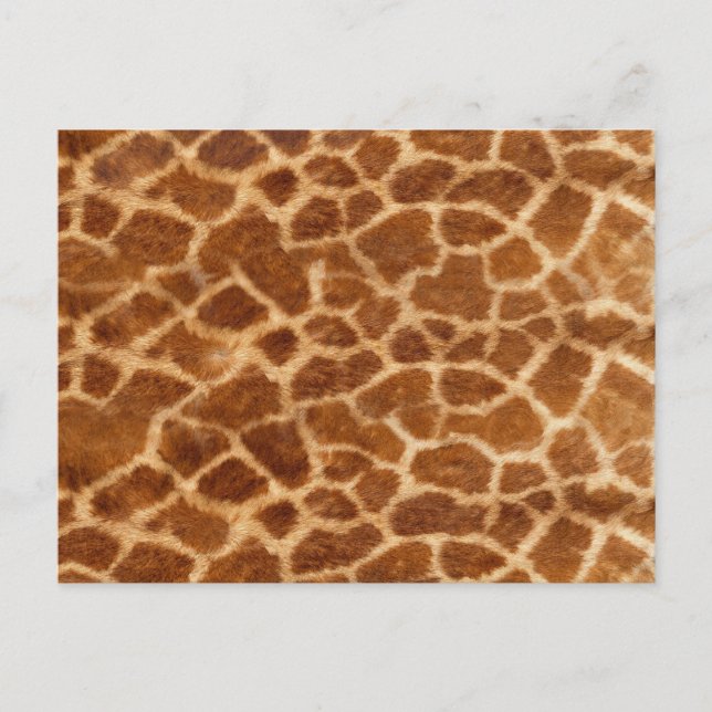Cartão Postal Giraffe Skin (Frente)