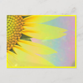 Cartão Postal Girassóis da primavera
