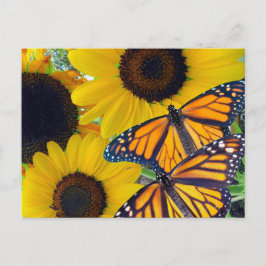 Cartão Postal Girassóis e Borboletas Monarcas