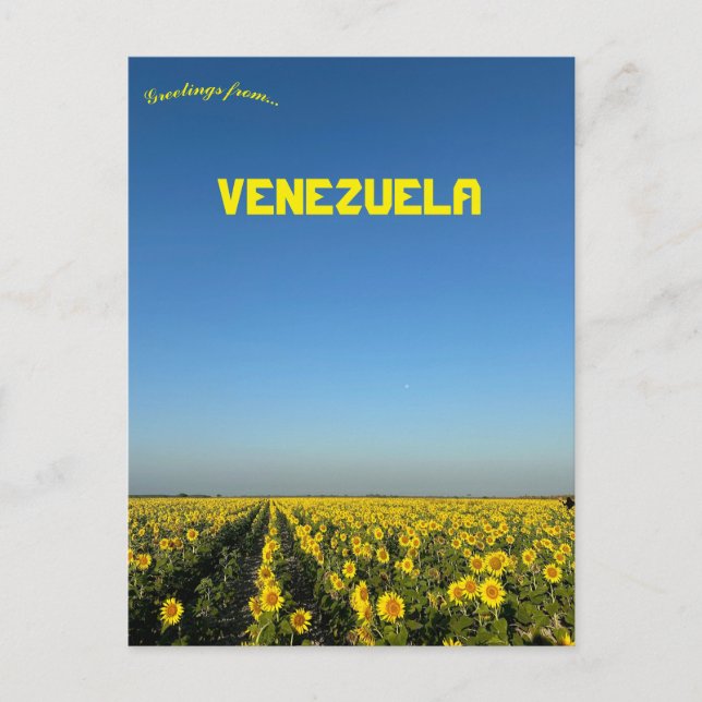 Cartão Postal Girassóis na Turen Portuguesa Venezuela (Frente)