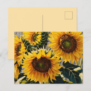Cartão Postal Girassóis Rústicos do Campo em Impressão de Tábua 