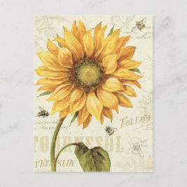 Cartão Postal Girassol amarelo