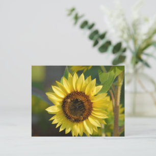 Cartão Postal Girassol amarelo vibrante
