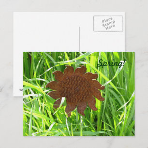 Cartão postal - Girassol de Ferro na grama