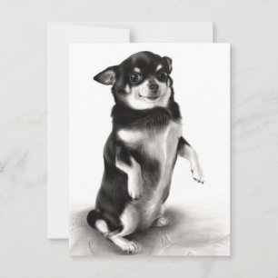 Cartão Postal "Gizma" - Pintura Chihuahua Prêmio vencedora