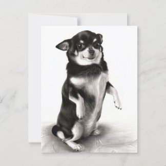 Cartão Postal "Gizma" - Pintura Chihuahua Prêmio vencedora