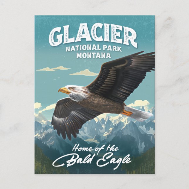 Cartão Postal Glacier National Park Bald Eagle (Frente)
